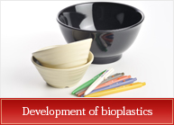 Development of bioplastics